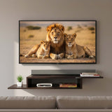 Ripplewuds Prima TV Entertainment Unit Wall Mount (Standard)