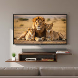 Ripplewuds Prima TV Entertainment Unit Wall Mount (Standard)