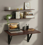 Modif Folding Table with Book Shelves
