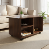 Rustic Coffee Table