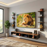 Ripplewuds Andrew Engineered Wood TV Entertainment Unit/Wall Set Top Box Shelf Stand/TV Cabinet for Wall/Set Top Box Holder for Home/Living Room Ideal for TV Upto 65" (Walnut and Wenge)