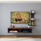 Ripplewuds Andrew Engineered Wood TV Entertainment Unit/Wall Set Top Box Shelf Stand/TV Cabinet for Wall/Set Top Box Holder for Home/Living Room Ideal for TV Upto 32" (Walnut and Wenge)