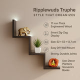 Truphe Wall Book Shelf/ Display Rack